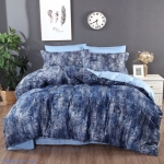 Постільна білизна ПІВНІЧНЕ СЯЙВО blue print